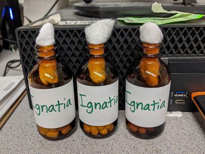 3 transparent brown glass Ignatia bottle