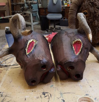 Severed Cow head