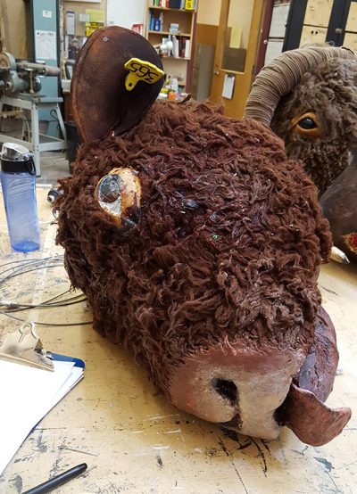 set of bull heads w/ red eyes