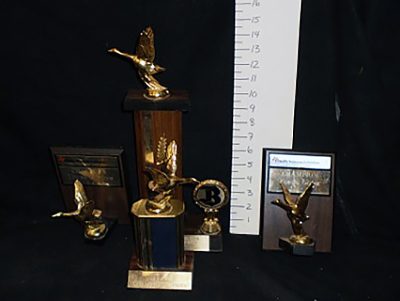 Various Goose/Gander Trophies