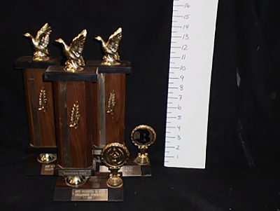Large waterfowl Trophies