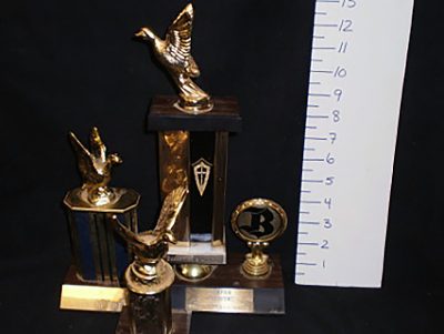 Small to medium waterfowl trophies