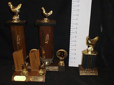 Various Chicken Trophies (1 large, 1 med., 2small)
