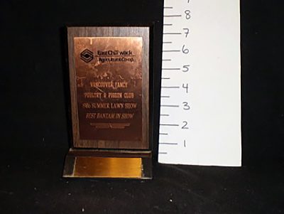 Small “best bantam” plaque trophy
