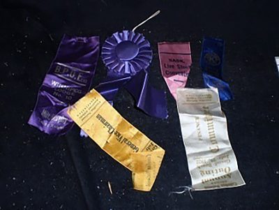 Prize ribbons
