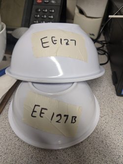 White plastic bowls