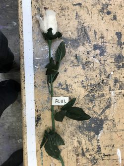Long Stem White Rose