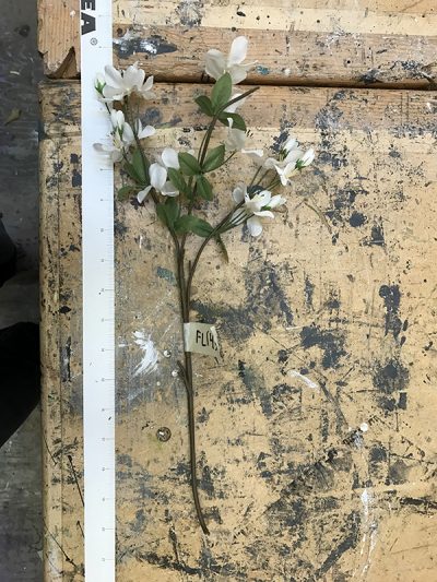 Bouquet White Flower