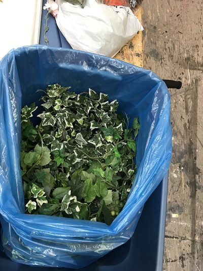 Assorted Greenery