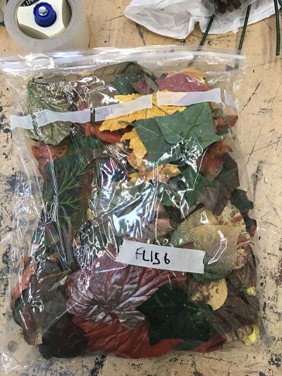 Autumn Leaves, Assorted, Small