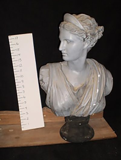 Woman Bust