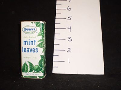 Tin-mint leaves - Wyler's