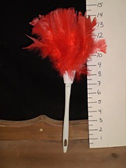 Red feather duster