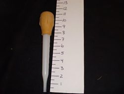 Turkey Baster