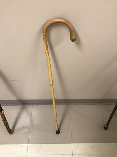Springy Bamboo cane 31"