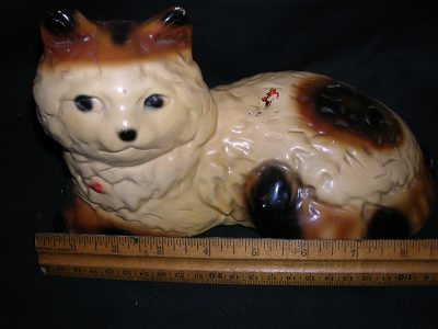 Cat, gold/brown