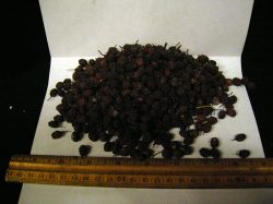 Dried berries
