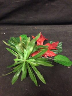 center piece plant decoration