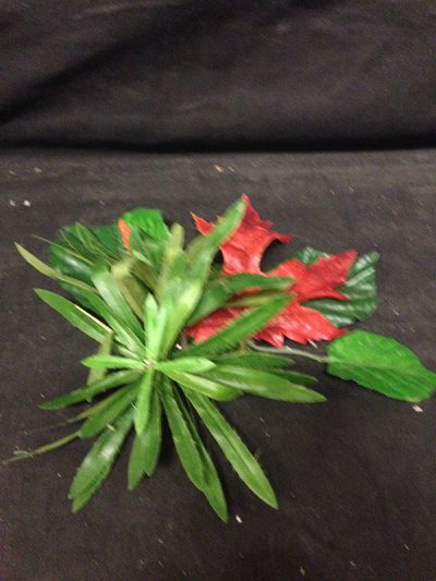 center piece plant decoration