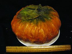 Pumpkin