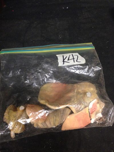 Mushrooms
