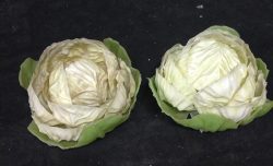 Cabbage
