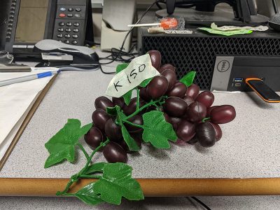 Red grapes fake