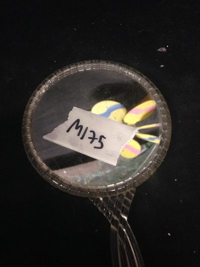 Transparent Handled Mirror