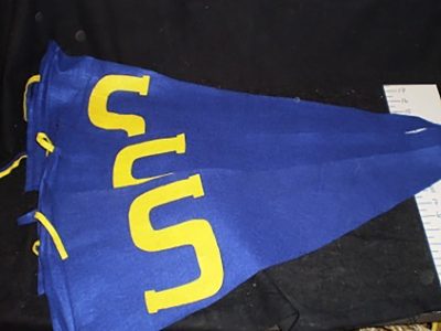 Blue flags “S”