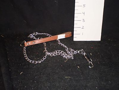 Dog leash