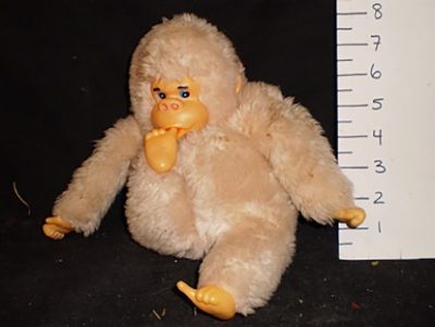 Sucky thumb gorilla