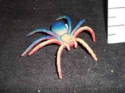 Blue/yellow spider