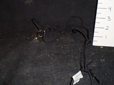 Whistle
