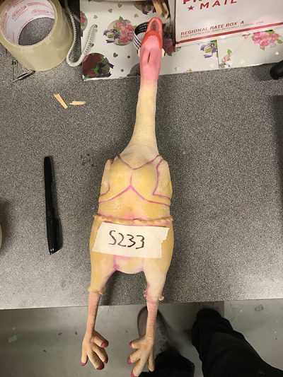 Rubber Chicken Painted Some Pink