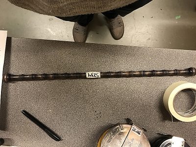 Brown Rod that Spins