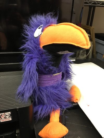 Hornbill Stuffed Animal