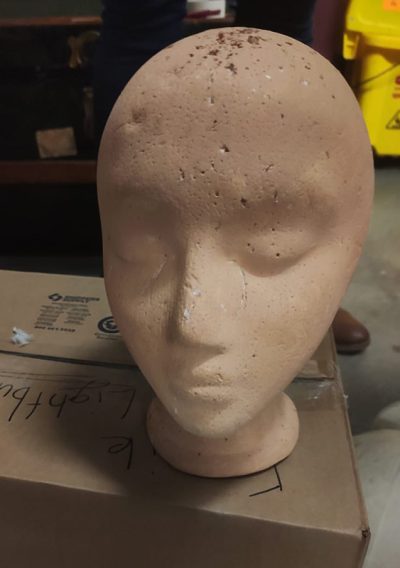 Skin tanned manniquin heads