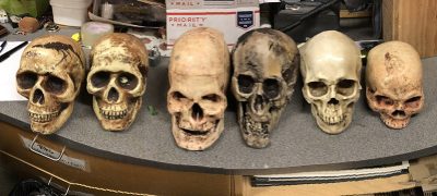 Assorted Skulls
