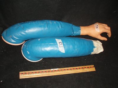 Blue Arms