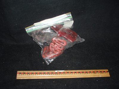 Animal Organs or "Bag O' Entrails"
