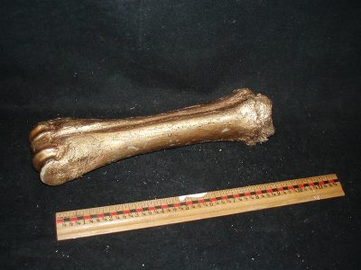 Bone, Heavy and Golden