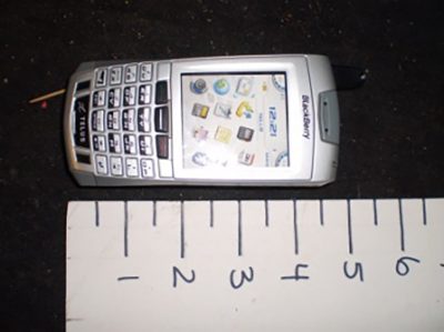 Silver Blackberry