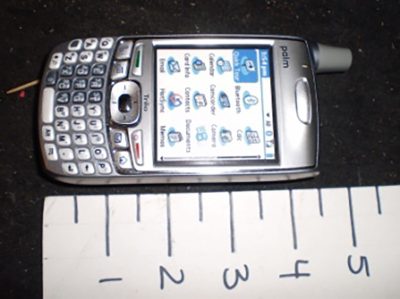 Silver Palm Cellphone
