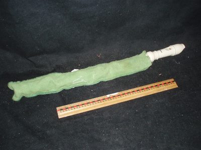 White Recorder in green bag