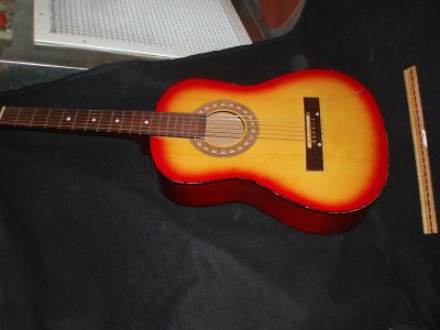 Guitar (in black case)