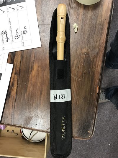 Silvetta wooden recorder on case
