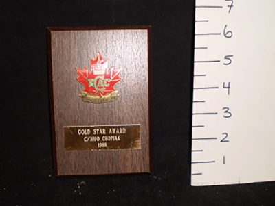 Plaque gold star award small and wooden