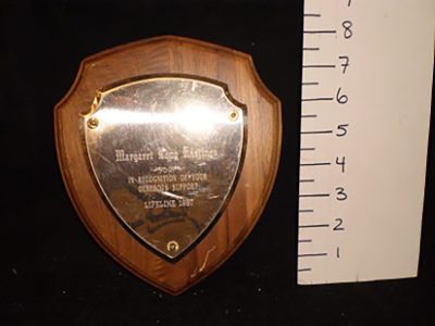 Arms shaped plaque award