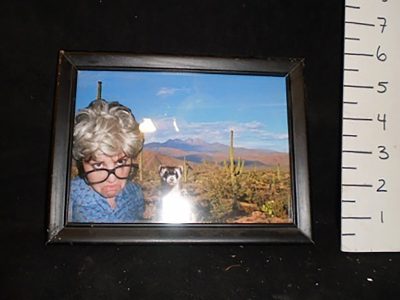 Angry grandmother with ferret in the desert