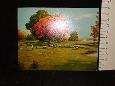 “Sylvan Scene,” Palmer, 11x14